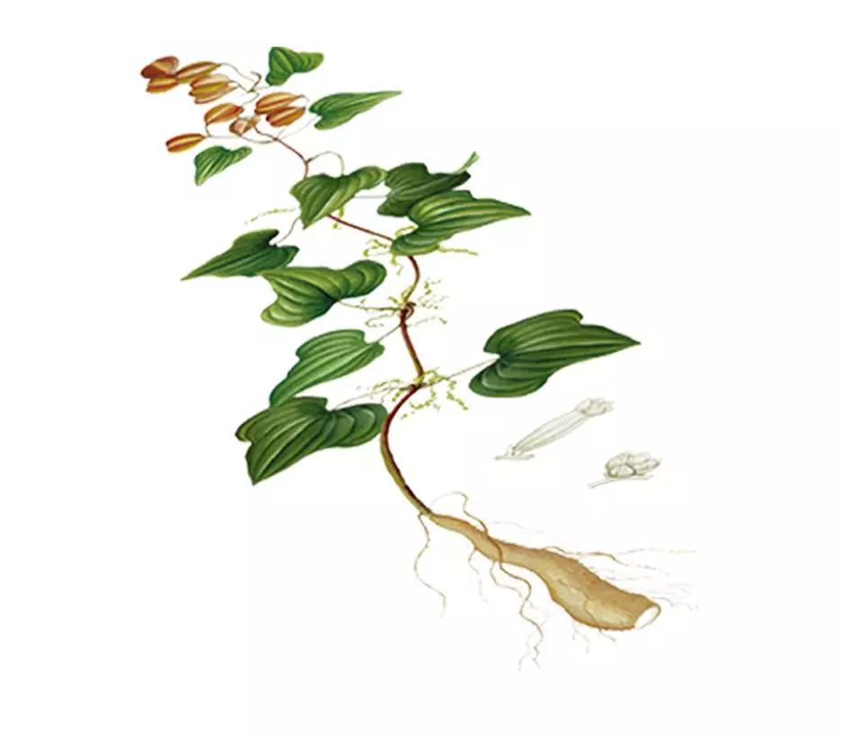 微信图片_20180514163902.jpg 微信图片_20180514163902.jpg