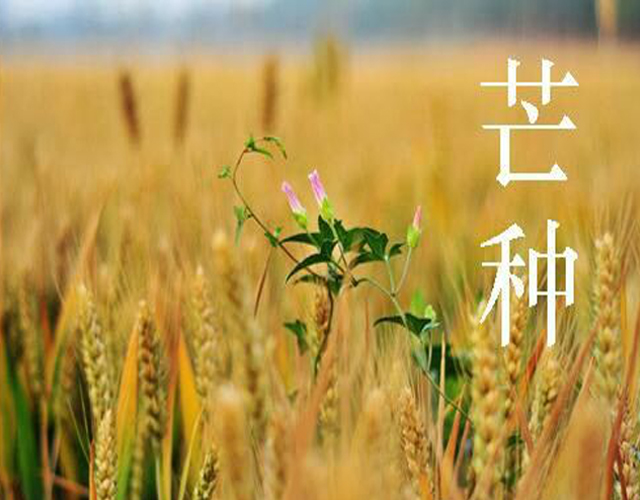 未标题-4.jpg 未标题-4.jpg